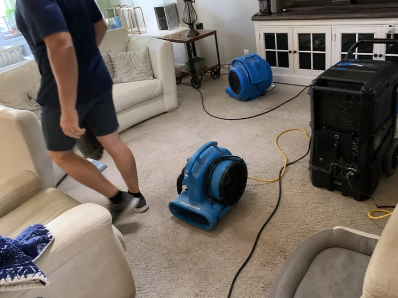Mold Remediation project 2
