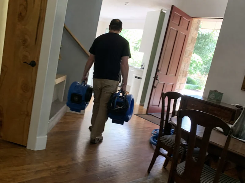 Mold Remediation project 1