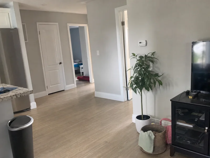 Mold Remediation project 3