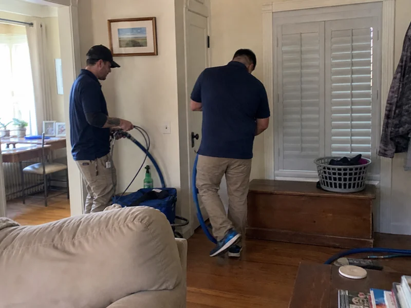 Mold Remediation project 4