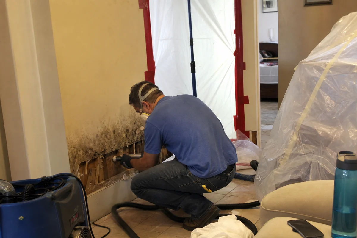 Certified technician performing thorough remediation