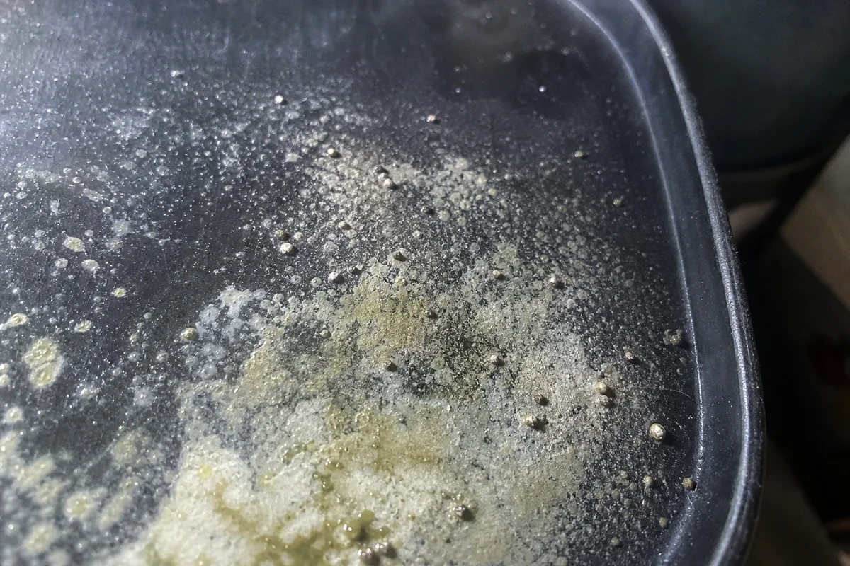 Macro close-up of mold spores
